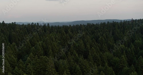 aerial shoot of the Bieszczady mountains in Poland