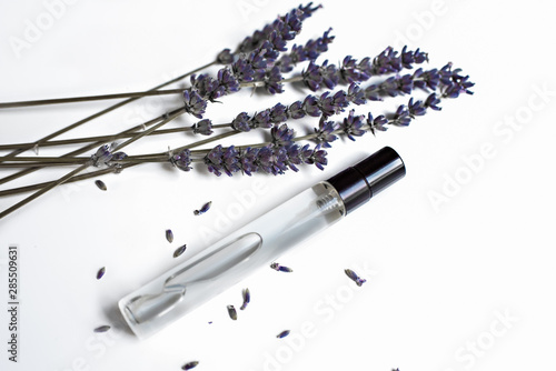 Dried lavender with a bottle of essential oil isolated on white background.