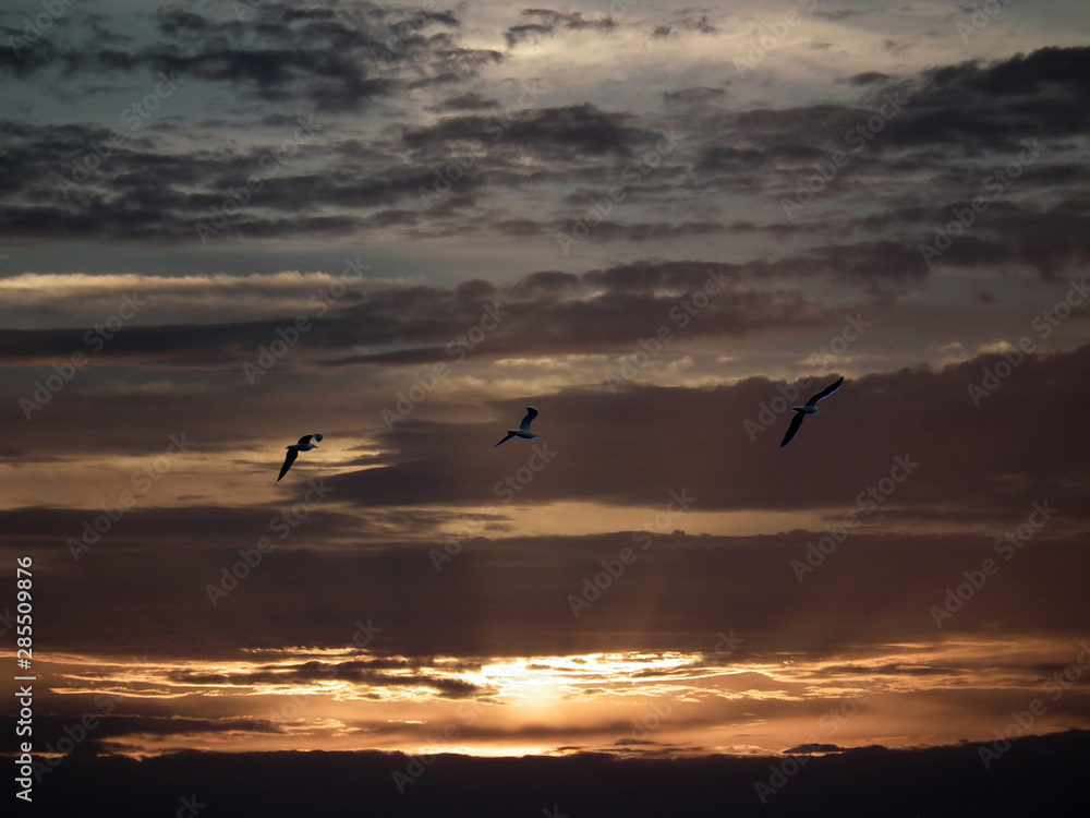 Fototapeta premium Tramonto