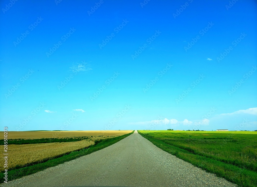 Fototapeta premium landscape with road and clouds