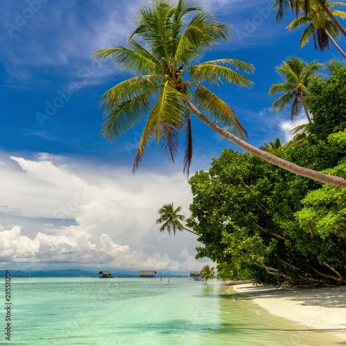 Beautiful Paradise Island -  landscape of tropical beach - calm ocean  palm trees  blue sky