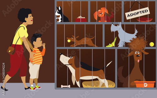 Mother bringing her son to an animal shelter to adopt a dog, EPS 8 vector illustration