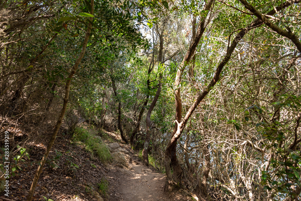 one of the paths that runs along the sea and it is possible to go along the island of Elba one of the paths that runs along the sea and it is possible to go along the island of Elba