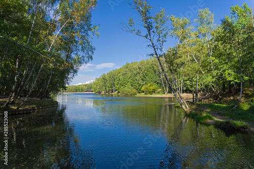 Pond in the forest park.