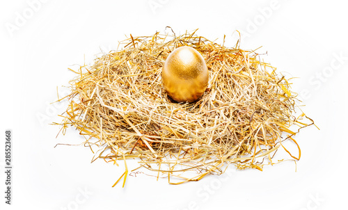 Goldenes Ei im Nest