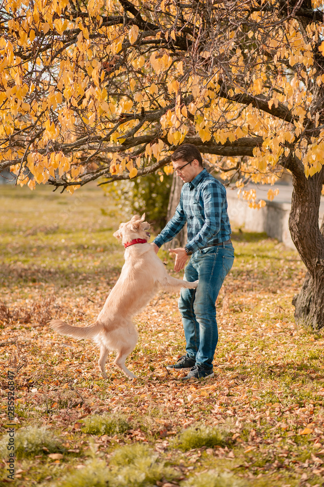 Fototapeta premium female with dog golden retriever having fun on autumn vacation.