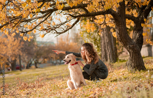 Portrait of a curly young woman hugging her golden retriever dog in the autumn park. yellow leaves background. Young curly woman sitting with her dog in autumn leaves