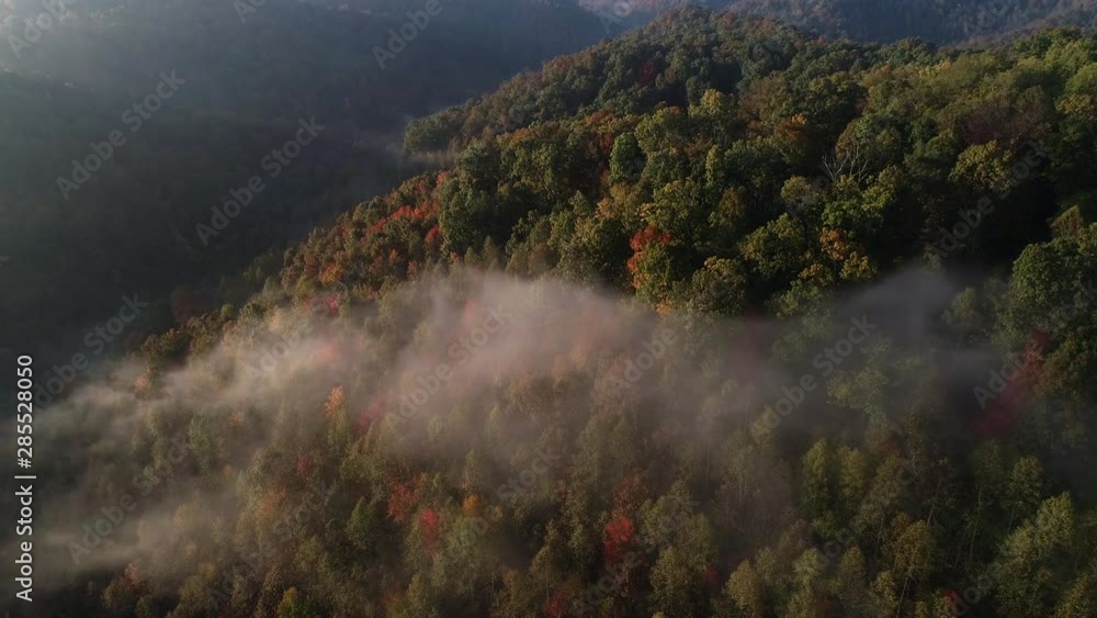 Mist over Kentucky forest, aerial Mist over Kentucky forest, aerial
