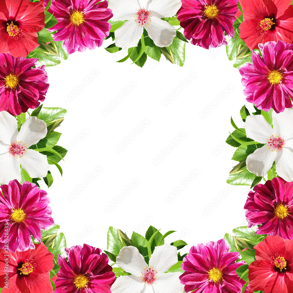 Beautiful floral background of hibiscus and dahlia. Isolated 