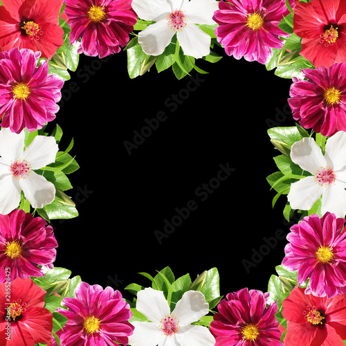 Wallpaper Mural Beautiful floral background of hibiscus and dahlia. Isolated  Torontodigital.ca