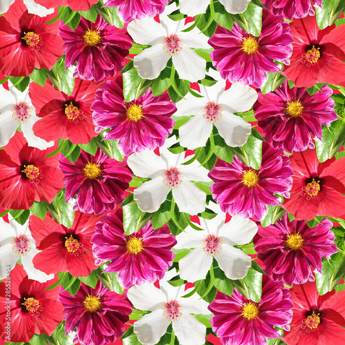 Beautiful floral background of hibiscus and dahlia. Isolated 