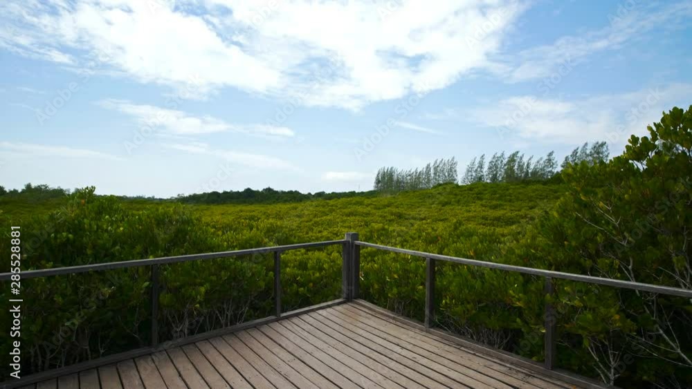 Wooden bridge at Mangroves in Tung Prong Thong or Golden Mangrove Field, Rayong province, Thailand Wooden bridge at Mangroves in Tung Prong Thong or Golden Mangrove Field, Rayong province, Thailand