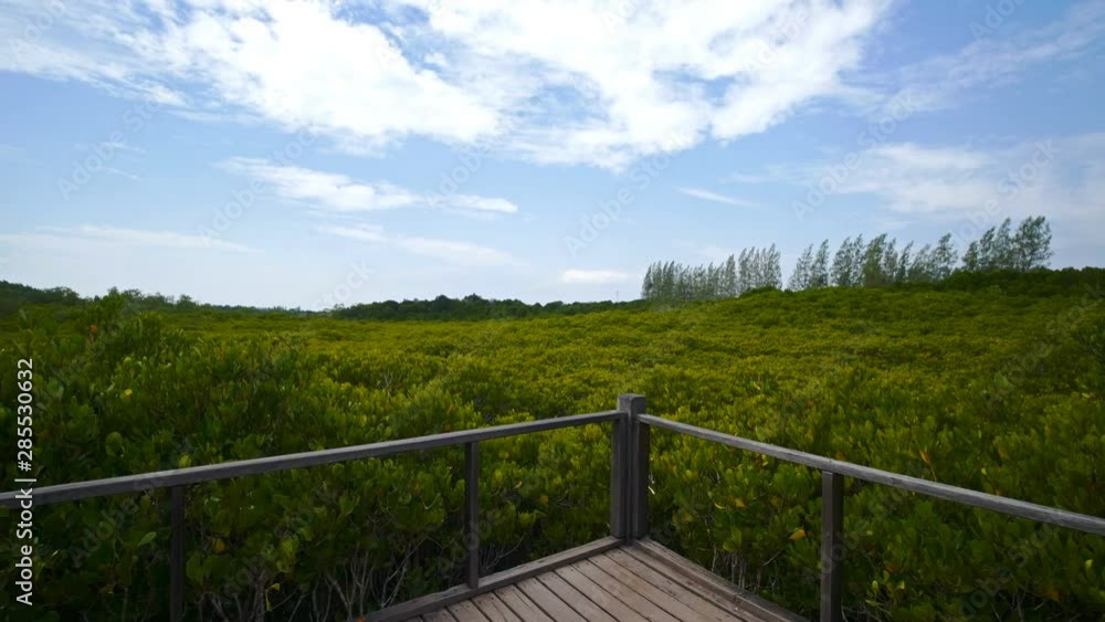 Wooden bridge at Mangroves in Tung Prong Thong or Golden Mangrove Field, Rayong province, Thailand Wooden bridge at Mangroves in Tung Prong Thong or Golden Mangrove Field, Rayong province, Thailand