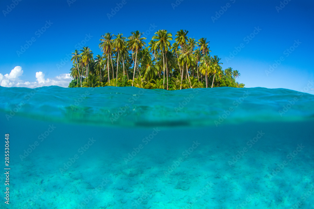 Tropical island in the sea at Mentawaii region in Indonesia