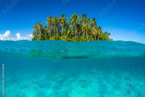 Fototapeta Naklejka Na Ścianę i Meble -  Tropical island in the sea at Mentawaii region in Indonesia