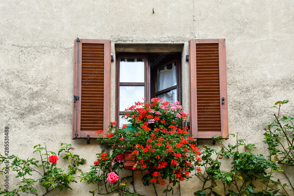Close-up of an old window with wooden shutters and blooming plants of red geranium (Pelargonium) and climbing roses in summer, Bossolasco, Langhe, Cuneo, Piedmont, Italy