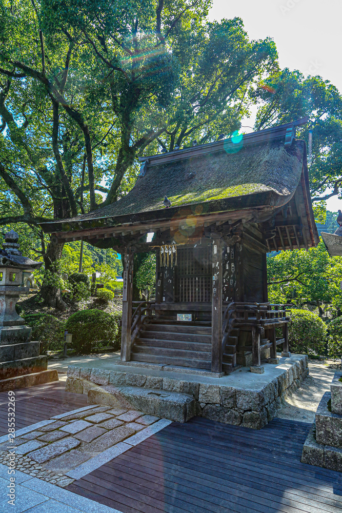 Fototapeta premium a small shrine with pigeons