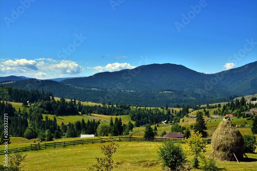 landscape in the Rodnei mountains