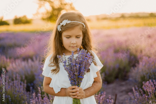 Dreaming Little Girl with Bouquet of Lavender. Portrait of Adorable Kid Holding Bunch of Aromatic Flowers. Caucasian Female Child Looking Down. Blooming Meadow Landscape Bokeh Background