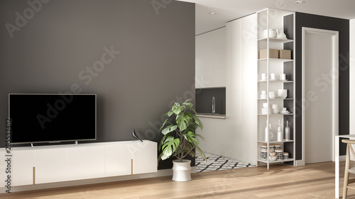 Fototapeta Naklejka Na Ścianę i Meble -  Modern white and gray minimalist living room with small kitchen, parquet floor, tv cabinet, potted plant. Scandinavian colored tiles and decors, architecture interior design concept