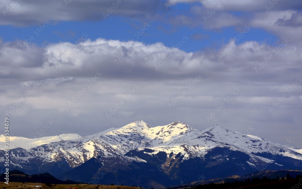 Rodnei mountains covered with snow