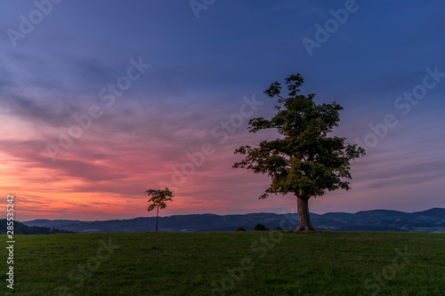 Abandoned tree on a mountain ridge captured during orange and purple sunset in background  beautiful clouds and sun behind the horizon captured Velka Lhota Czech Republic