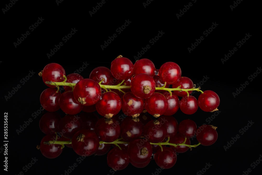 Lot of whole fresh red currant isolated on black glass