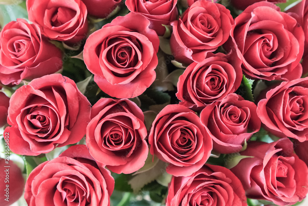 Bouquet of red roses, top view. Bouquet of red roses, top view.