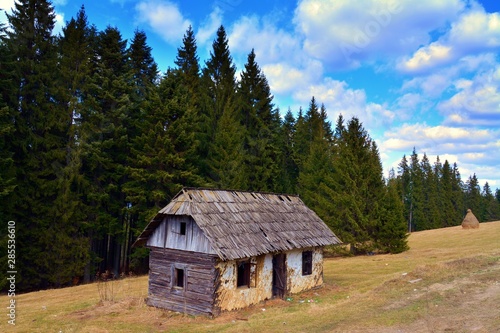 an abandoned house near the forest