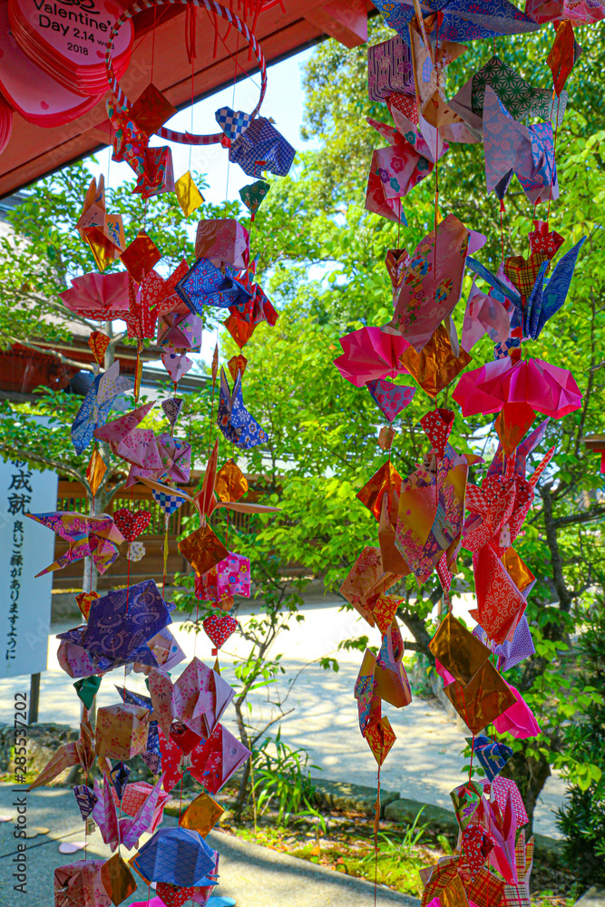 Fototapeta premium christmas tree