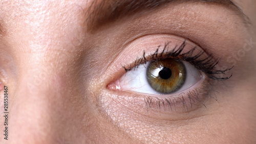 Fotografija Closeup of female eye, suffering dry eye syndrome, vision problems fatigue