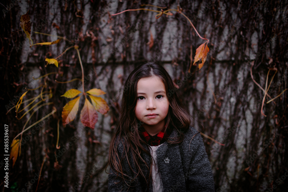 Portrait of little girl in autumn Portrait of little girl in autumn
