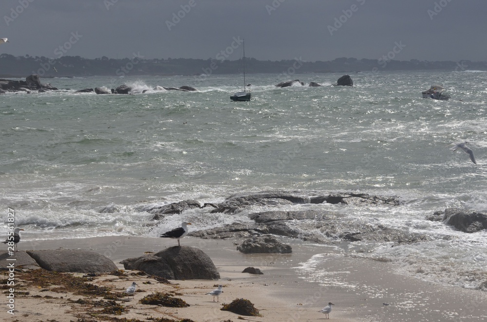 Fototapeta premium Kerlouan, Finistère, Brittany, France
