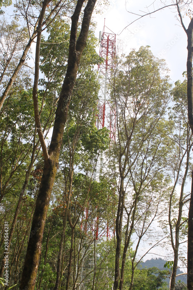 Fototapeta premium Environment of tropical country, Thailand