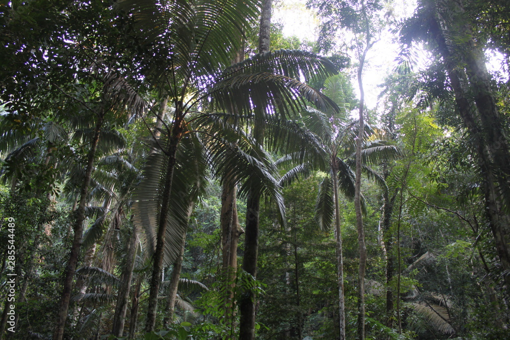 Naklejka premium Environment of tropical country, Thailand