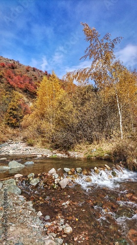 A small creek flowing through a colourful autumnal landscape on the last summer days