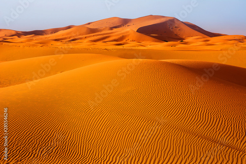 Amazing view of sand dunes in the Sahara Desert. Location: Sahara Desert, Merzouga, Morocco. Travel concept. Artistic picture. Beauty world.