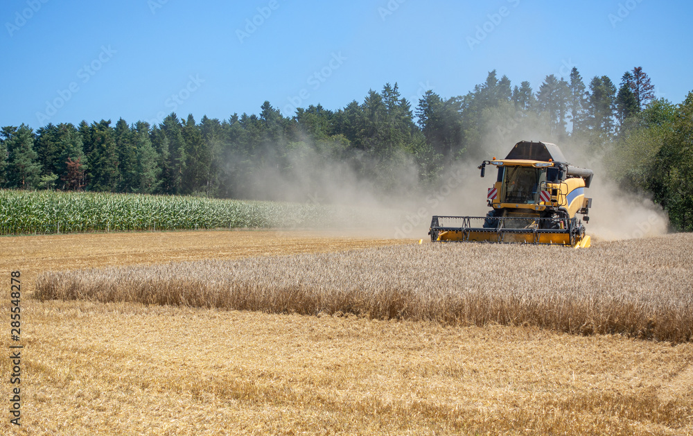 Fototapeta premium Mähdrescher mit Staubwolke bei der Ernte von einem Getreidefeld