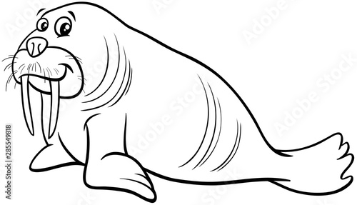 walrus animal character cartoon coloring page