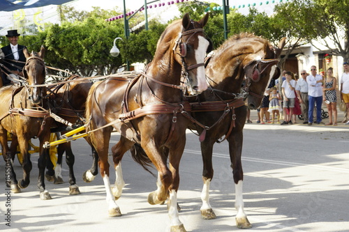 horse carriage concurso de enganches de carruajes de coches de caballos feria de malaga 2019 photo