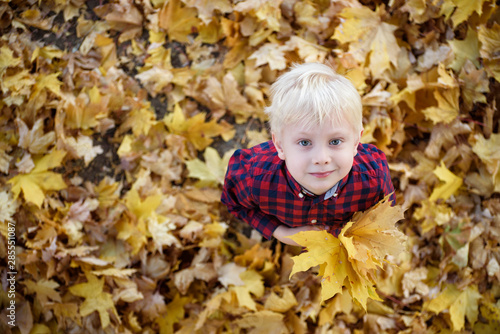 Blond boy with a bouquet of autumn leaves stands and looks up. Top view. Autumn concept
