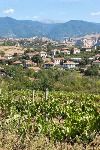 Lozenitsa Village and Vine plantations near town of Melnik, Bulgaria