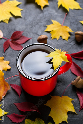 Autumn colorful leafs and red cup of tea on dark concrete background