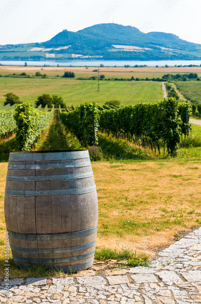 Palava hills view over wine yards and wine cask. South Moravia, Czech republic