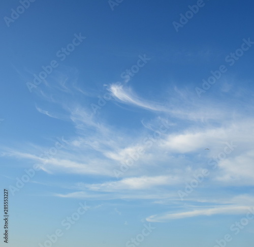 Schleierwolken - weiße Wolken am blauen Himmel