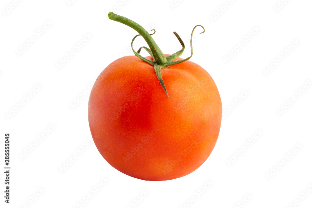Tomato isolated on a white background, full depth of field, no shadow, poison for design Tomato isolated on a white background, full depth of field, no shadow, poison for design