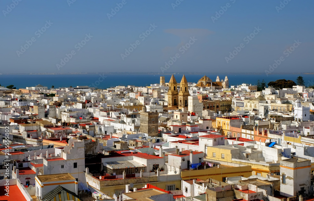 Aerial view of the old city rooftops and Cathedral de Santa Cruz in the morning from tower Tavira in Cadiz, Andalusia(Andalucia), Spain