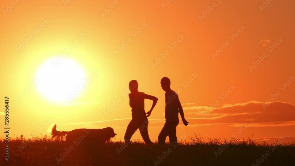 Silhouettes of couple with dog on a background of orange sun in evening. Man and woman walking pet. Silhouettes of couple with dog on a background of orange sun in evening. Man and woman walking pet.