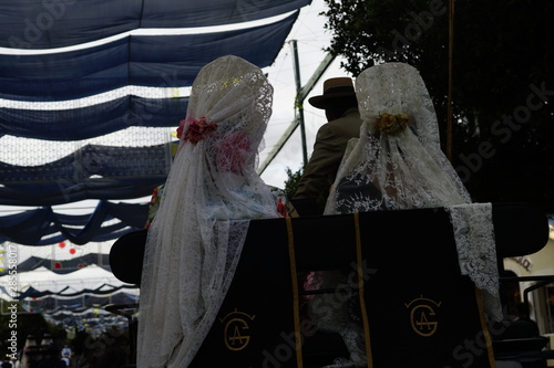 horse carriage concurso de enganches de carruajes de coches de caballos feria de malaga 2019 photo