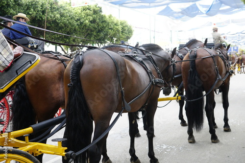 Tableau sur toile horse carriage concurso de enganches de carruajes de coches de caballos feria de